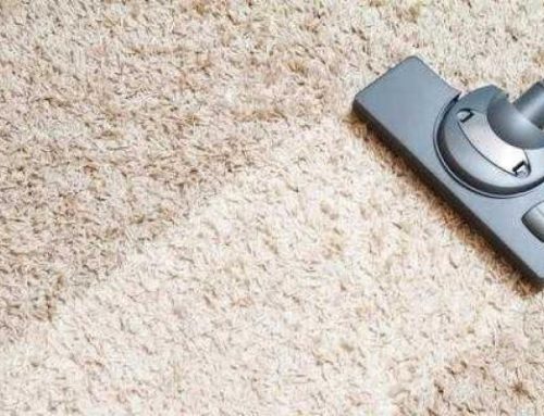 How to Maintain Clean Carpets in Your Home