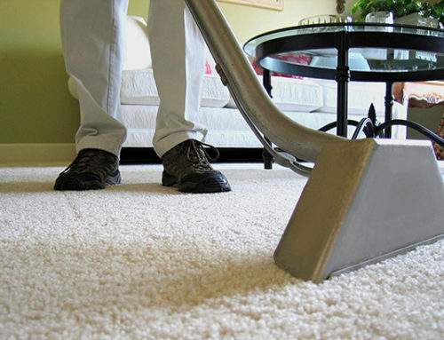 Carpet Cleaning Tips from Scrub Bros Carpet Cleaning Reno