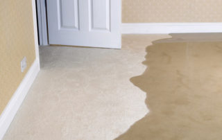 Watwr Damage Carpets Cleaning