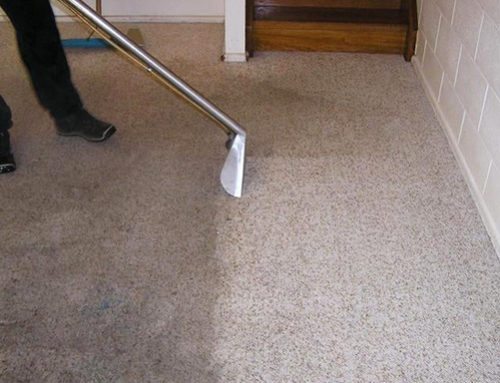 How to Remove Dirt and Grime from Winter Season Carpets with DIY Home Solutions