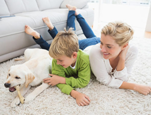 Carpet Cleaning Tips for Homes with Kids and Pets