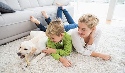 Carpet Cleaning with Pets