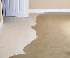 water damage carpets